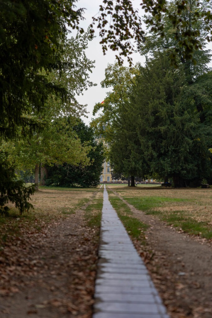 Schlossgarten Karlsruhe